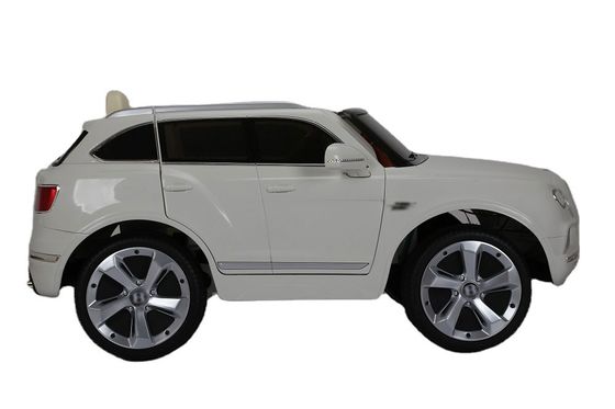 Kunststoff 6V oder 12V elektrische Fahrt auf dem Auto mit Fernbedienung von autorisierten