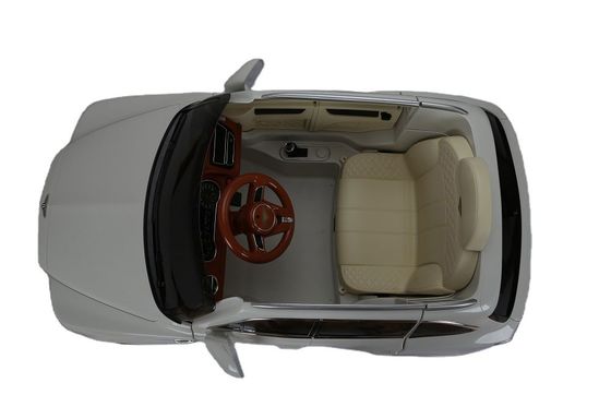 Kunststoff 6V oder 12V elektrische Fahrt auf dem Auto mit Fernbedienung von autorisierten